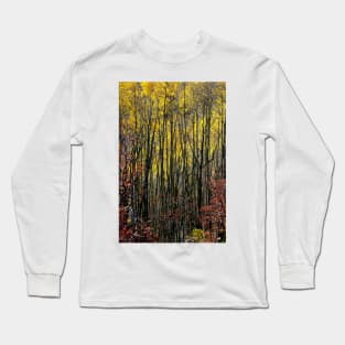 October Aspen Forest of Color Long Sleeve T-Shirt